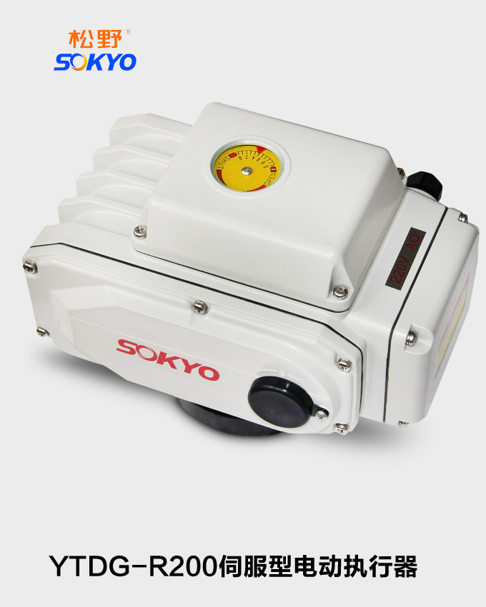 電動執行機構,YTDG-RS200伺服型電動執行器