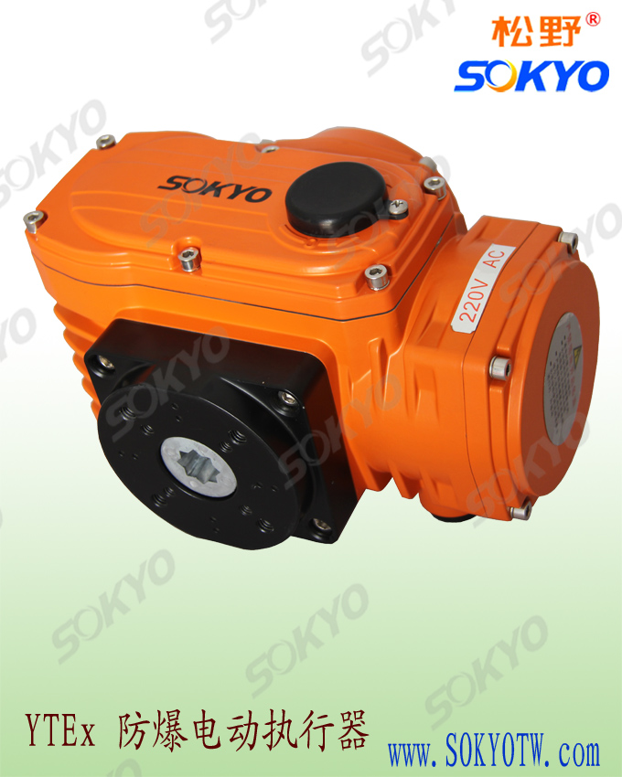 電動執(zhí)行器