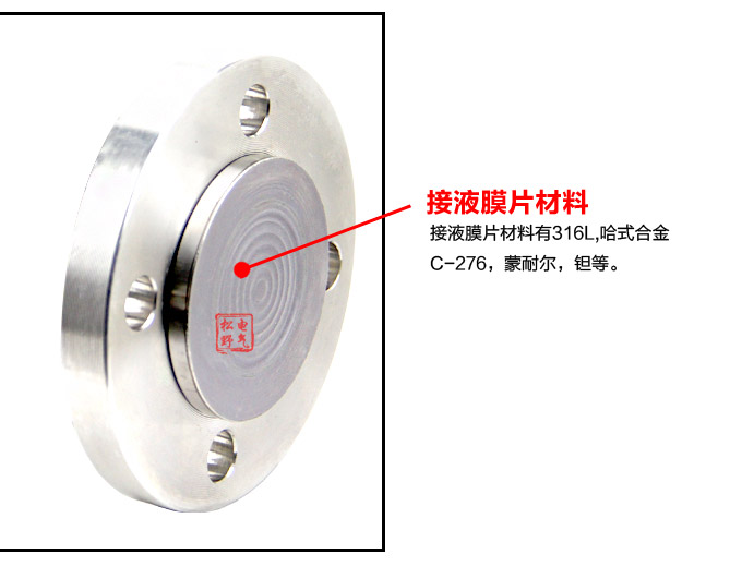 智能液位變送器,3051L法蘭液位變送器細節圖2