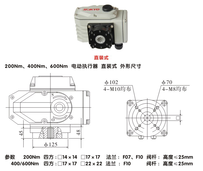 電動執(zhí)行機構(gòu),YTDG-RKB600電動執(zhí)行器,電動頭結(jié)構(gòu)圖,直裝式